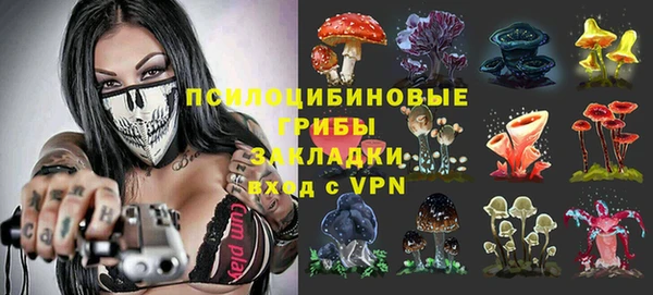 сатива Белокуриха